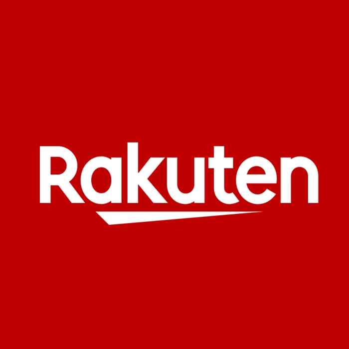 Code Promo Rakuten KOTAG - 20€ de réduction dès 149€ d'achats sur l'univers Jardin & Bricolage