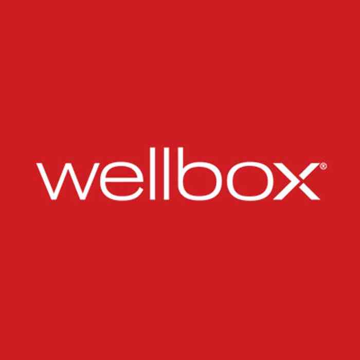 Offre Wellbox Audrey Lieutaud - 100 Euros de réduction