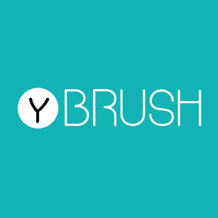 Remise Y-Brush Les Frères Poulain - 15% de réduction sur tous les packs