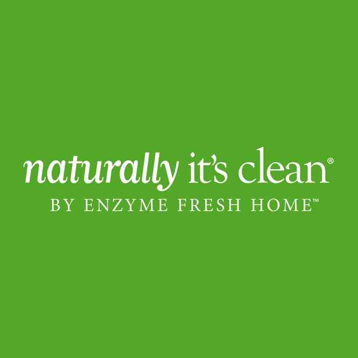 Coupon Naturally It's Clean Allie Beth Stuckey - 15% off your order