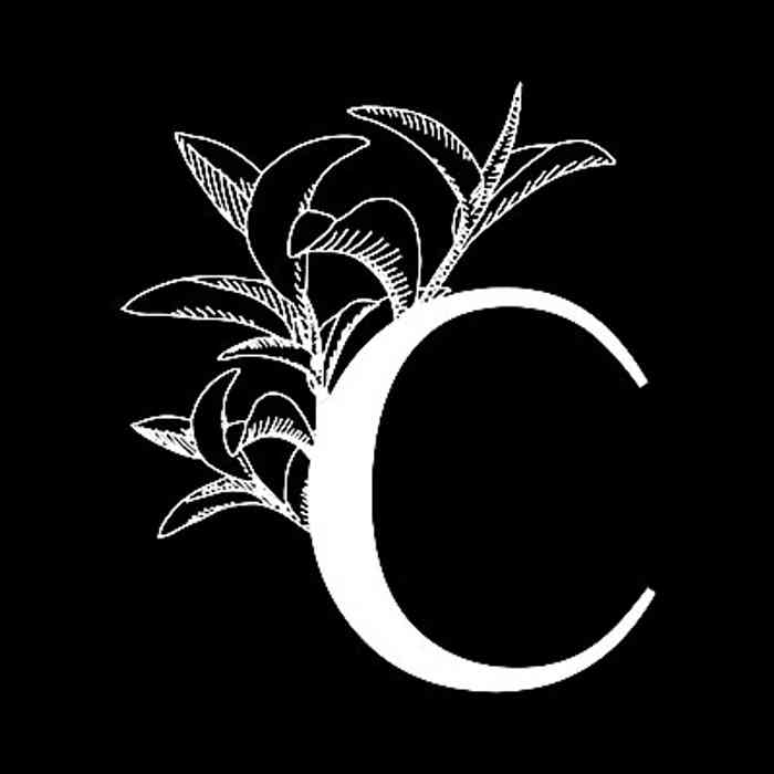 Remise La Canopée KOTAG - 15% de réduction sur votre première commande