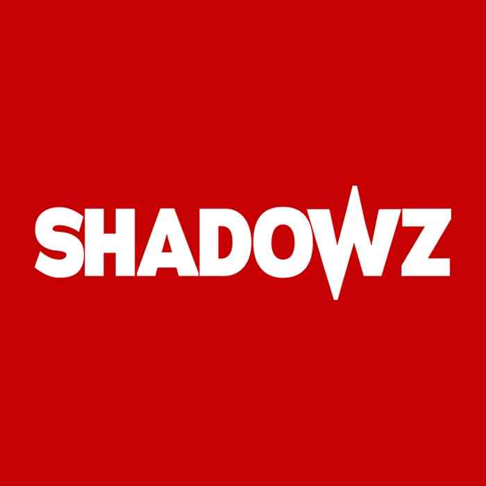 Remise Shadowz Nelly Kitty - 1€/mois pour les 3 premiers mois