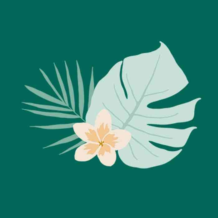 Coupon La Jungle du Prince Alizée - La Mode Aixoise - 10% de réduction sur tout le site