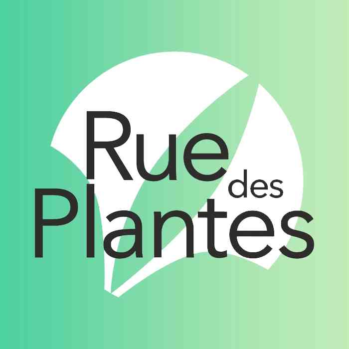 Remise Rue des Plantes KOTAG - 10€ de réduction dès 100€ d'achat